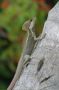 belize2003 - 02